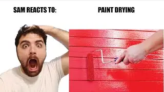 Sam reacts to paint drying!!!!!!! (Not fake)