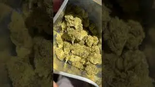 THCA SMALL BUDS Candy Gas ! #thc #weed #weedchannel #cannabisdaily #cannabiseducation #cannabis #rap