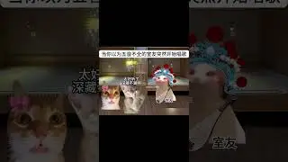 #歌曲前尘烟雨 #猫meme #猫meme小剧场