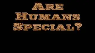 What Makes Humans Unique?