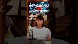 Феромоны и биосовместимость: как наш нос определяет идеального партнера