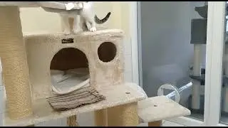 Pip & Page - Kreistierheim B&ouml;blingen