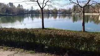 Търговище, Борово око,декемврийско слънце☀️Bulgaria, Targovishte, Lake Borovo Oko, December sun🌤
