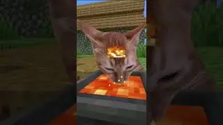 Most Adorable Minecraft EVER! Catcraft 3! #cat #minecraft
