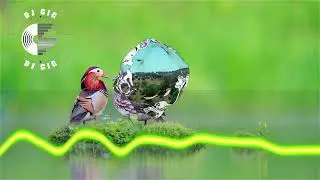 EuroDance Energyzer AI Music Relaxing Videos