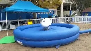 Airmax Inflatables Limited and Leinster Rugby