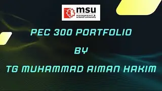 PEC 300 PORTFOLIO REFLECTION FEBRUARY 2025 SESSION