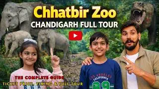 Exploring Chhatbir Zoo Chandigarh | Family Trip Vlog || 2026