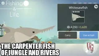 Fishing Life # 5 | The Carpenter Fish of Jungle and Rivers | Catching 4☆ White Sawfish