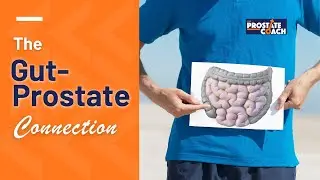 Prostate Problems?  Your Gut May Be To Blame!