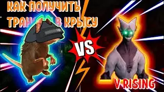 Где найти босса крысу Putrid Rat | Как получить форму крысы V Rising