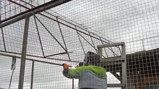 ROBIMY AUTOMAT NA KOLEJNY GOŁĘBNIK. ZBROIMY SIĘ 🔥🔥🔥