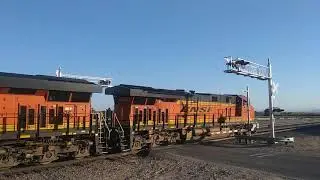Two BNSF Trains Meet In Hodge Ca! #bigbossrailfanner