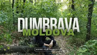DUMBRAVA | Vol.2 2023