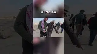 Getting Scammed at the pyramids!! #Egypt #scam #funny