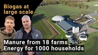 Groenewoud Gas: Large-Scale Biogas Production | Powering 1000 Homes with Biogas from Cow Manure
