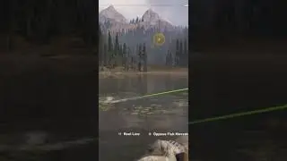 Albino Paddlefish, in one of the best fishing Sims #fc5#farcry#farcry5gameplay#farcry5story#gaming