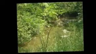 South Richvale Greenway, Richmond Hill