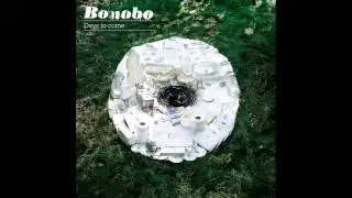 Bonobo - Nightlite (feat. Bajka) (06)