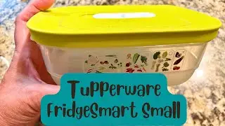⭐️Maximize the Life of Your Produce with a Tupperware Small FridgeSmart Container⭐️product review