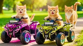 Turbo Kittens vs The Wolf: Cutest Kittens, Craziest Chases EVER! Ultimate Animal Chase 🔥🐱🏍️