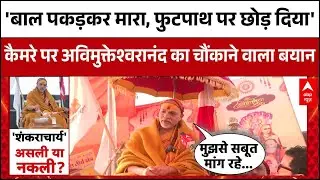 कैमरे पर बोले Swami Avimukteshwaranand, बाल पकड़कर पीटा गया, Shankaracharya होने का सबूत मांग रहे