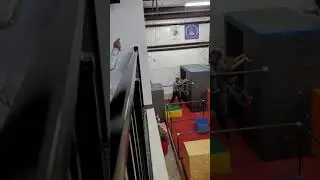 Noah, ninja parkour cat grabs
