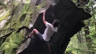 World's Best, V7. Gold Bar