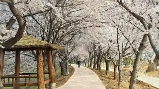 아름다운 한국-순천  (Beautiful Korea-Suncheon)