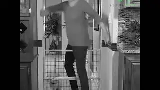 Life-Saving Retractable Pet Safety Gate