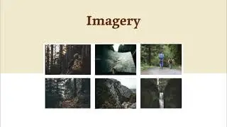UW HCDE 508 - Washington Trails Association Redesign