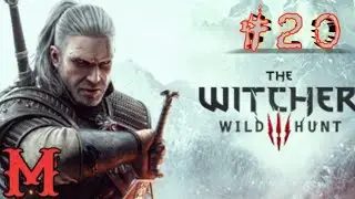The Witcher 3 - Part 20 - I Didn't Know There Was Succubus