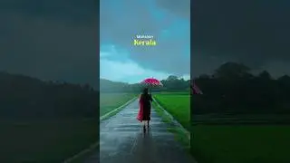 Monsoon Days in Kerala #keralatourism #kerala #monsoon