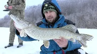 Потрапили на Вихід Щуки. Нарешті Десна Роздає
