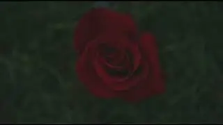 SERHAT Durmuş &bull; LA Calin