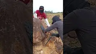 Hunting for gold under a big rock -  #goldhunt #metaldetector #treasure