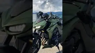 this colour is light night and green color