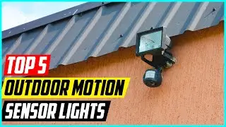 5 Best Outdoor Motion Sensor Lights