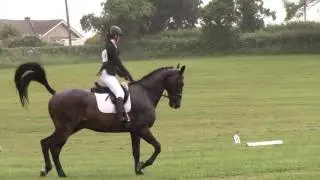 Sapey Unaff 100