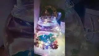 #fishtankdecor