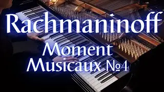 Rachmaninoff - Moment Musicaux №4 Op.16 №4 Animated by AI [Concert Creator RTX]