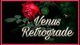 Venus  Retrograde in Birth Chart | How Can I Love When I'm Afraid to Fall