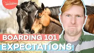 Do I Have What it Takes to Run a Horse Business?