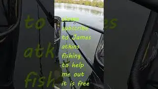 Live Match fishing Suffolk water park, #shorts
