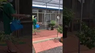 Electric ULV Sprayer Portable Fogger Machine