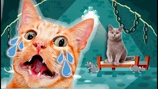 HOUSE PRISON made of cardboard for a cat 2 🐈 Jail break ДОМ ТЮРЬМА из картона для кошки all video