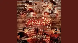 Me Llamas (Session Live)