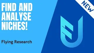 Find Merch By Amazon Niches With Flying Research