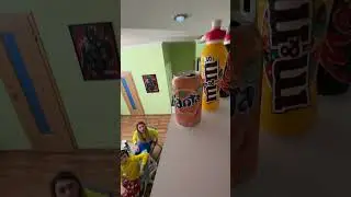 Кошачий режим и мусор в шкафу