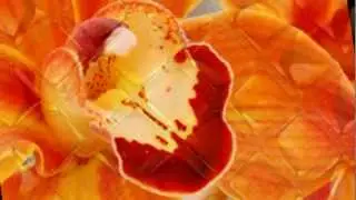 Colour Therapy: ORANGE